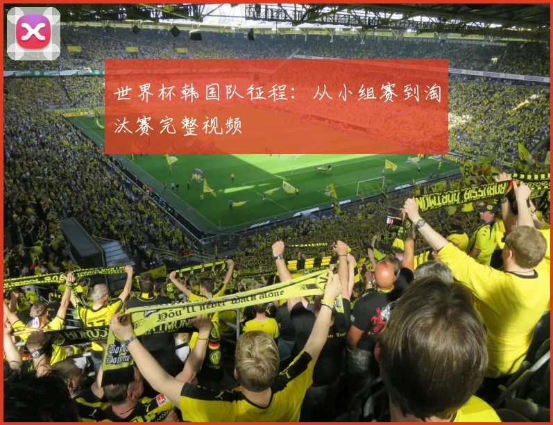 世界杯韩国队征程：从小组赛到淘汰赛完整视频