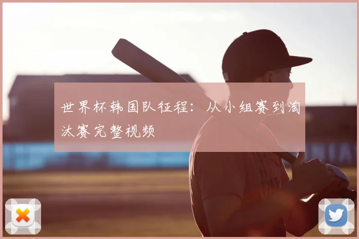 世界杯韩国队征程：从小组赛到淘汰赛完整视频