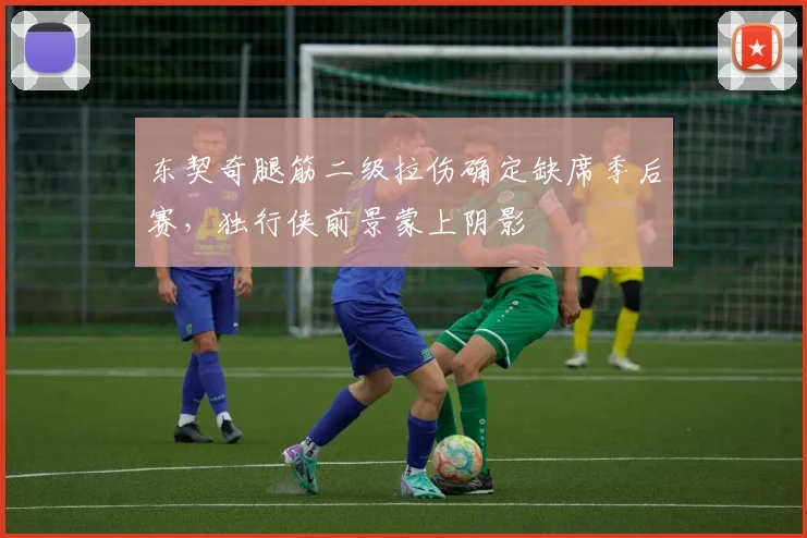 东契奇腿筋二级拉伤确定缺席季后赛,独行侠前景蒙上阴影